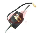 CD313 ZD2722